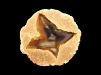 Yellow Jacket Thunderegg